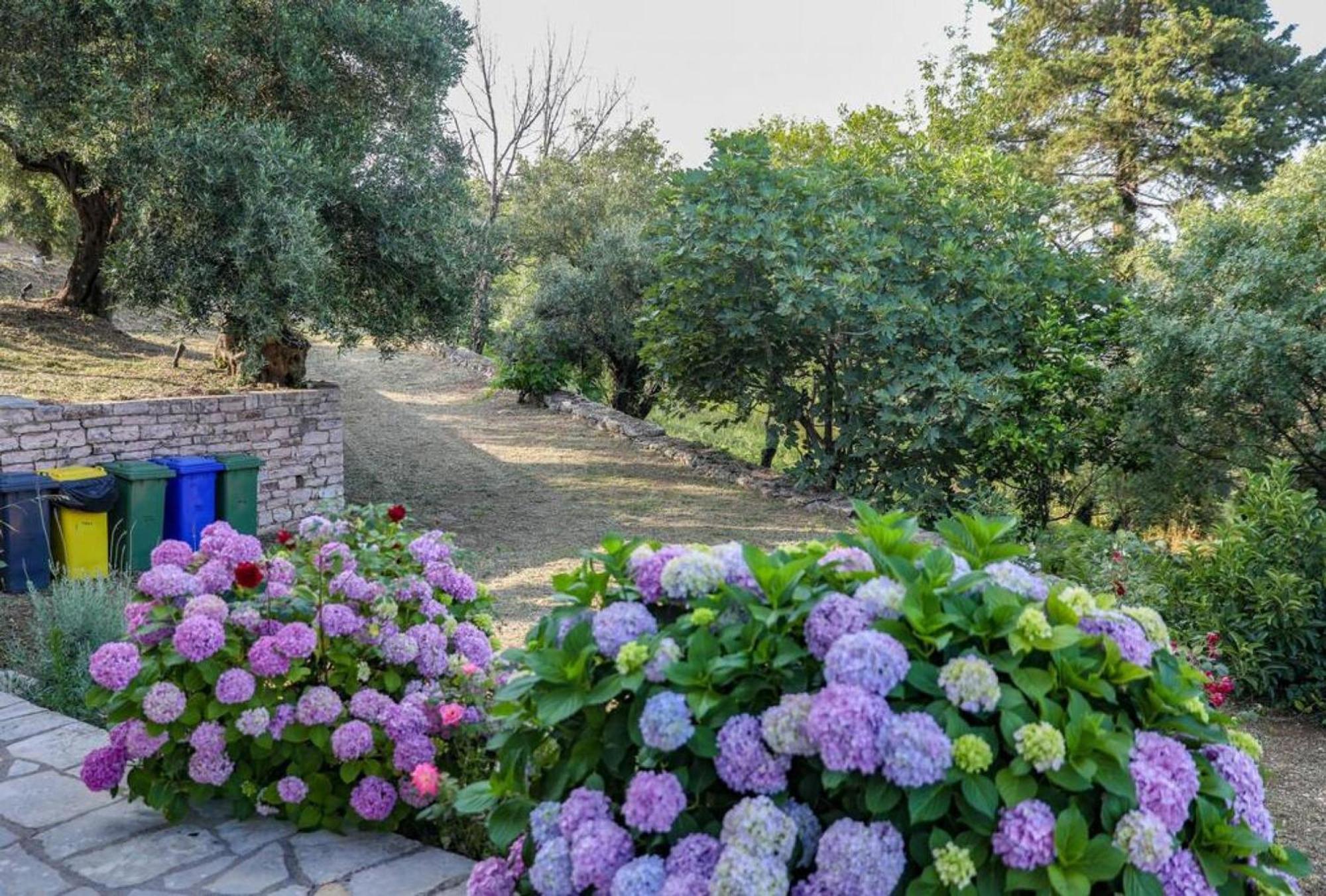 Sinies Stone Cottage - Ne Corfu Agnítsini Eksteriør bilde