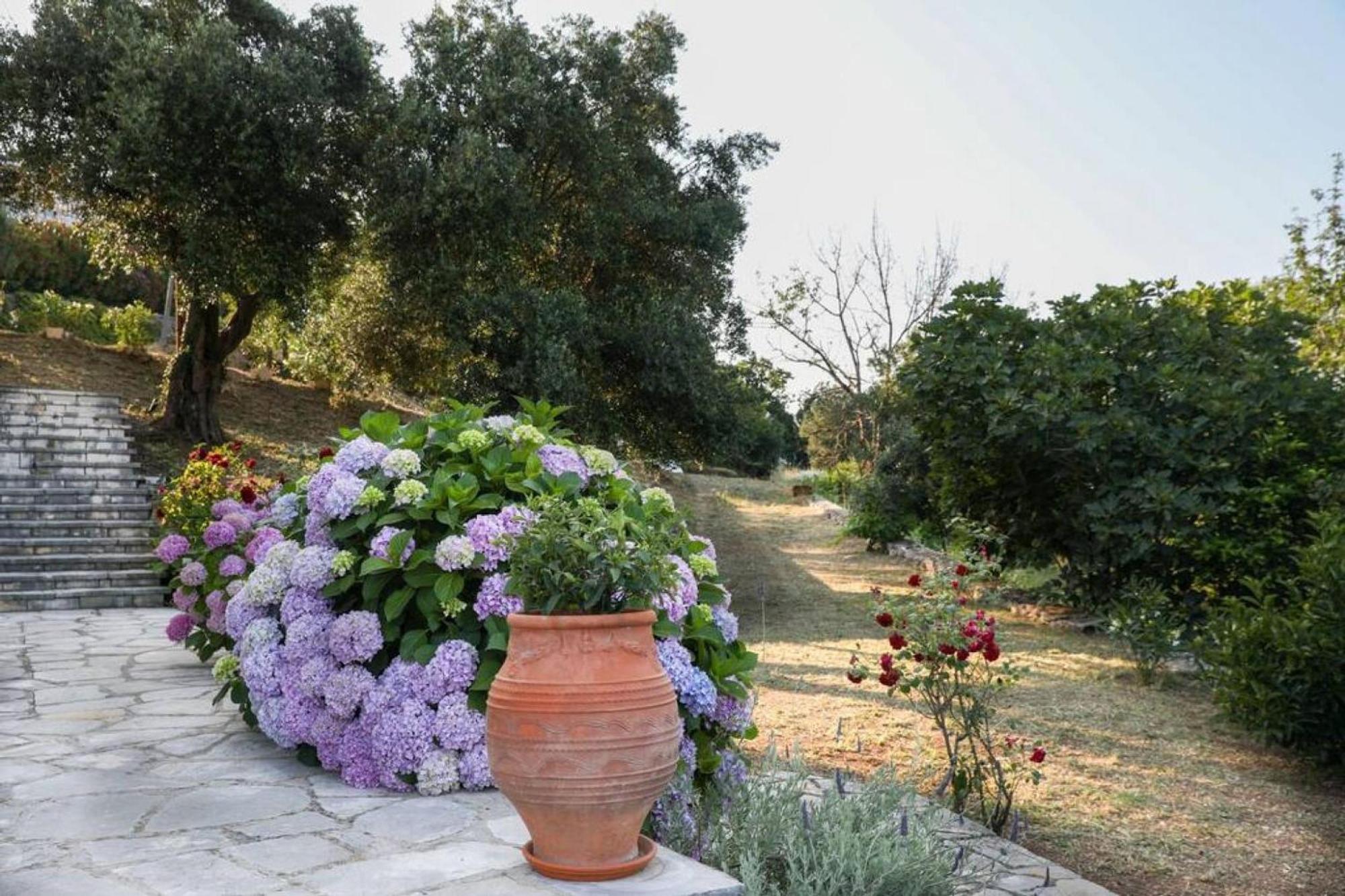 Sinies Stone Cottage - Ne Corfu Agnítsini Eksteriør bilde